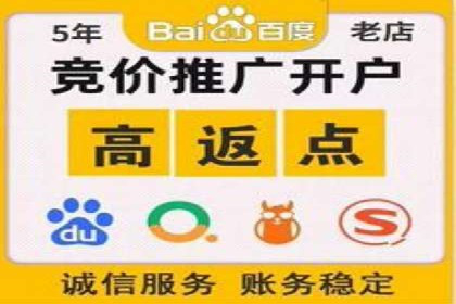 百度SEM竞价推广成功案例：某电商平台的营销奇迹